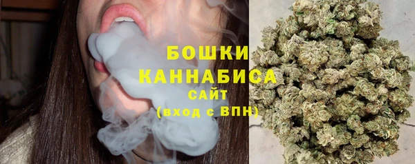 PSILOCYBIN Богородицк