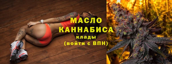 дмт Богородск