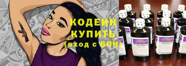 стаф Снежногорск